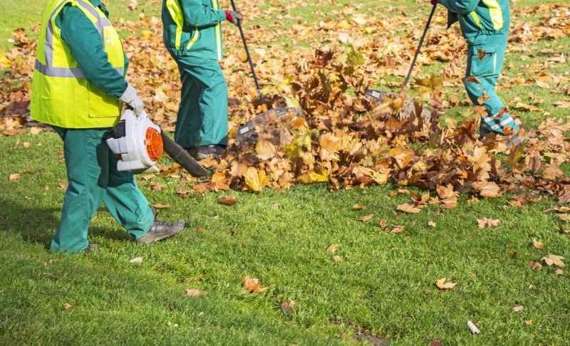 Leaf Vacuuming
