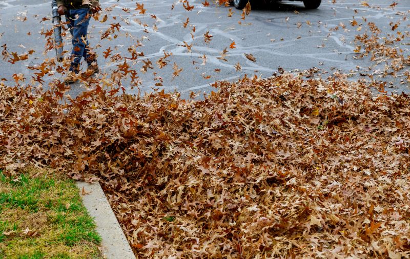 Leaf Vacuuming