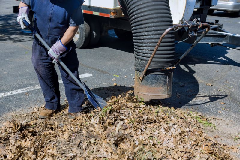 Leaf Vacuuming