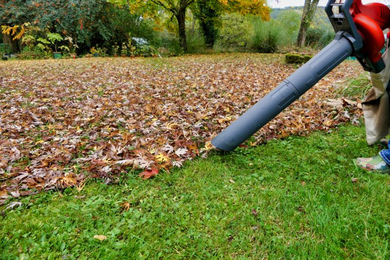 Leaf Vacuuming Costs Explained — Cost of Leaf Vacuuming