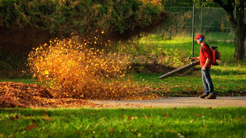 Leaf Vacuuming Costs Explained — Cost of Leaf Vacuuming
