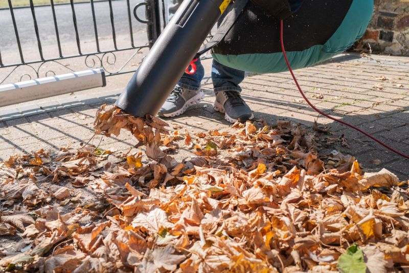 Leaf Vacuuming Costs Explained — Cost of Leaf Vacuuming