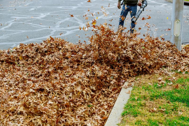 Leaf Vacuuming