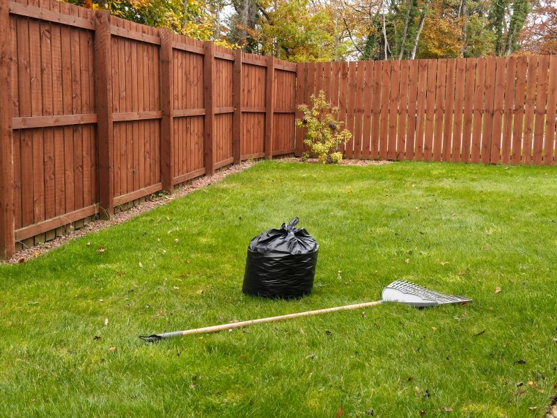 Yard Cleanup