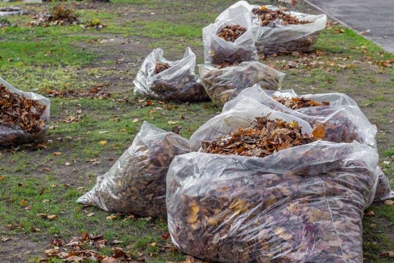 Leaf Removal in Ventura County, CA